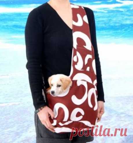 Многофункциональный для перевозки домашних животных, Для домашних животных рюкзаки, Уникальный собака рюкзак, Сумка для домашнего любимца, Пэт упаковки, Собака проводов, Собака одежда купить на AliExpress