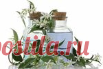Вы замечали, что все дома и квартиры пахнут по разному?