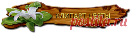 КЛИПАРТ НА ВЫБОР