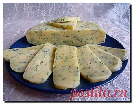 Очень вкусный домашний сыр. Вы должны его попробовать! | Вахрушев А.В. | Яндекс Дзен