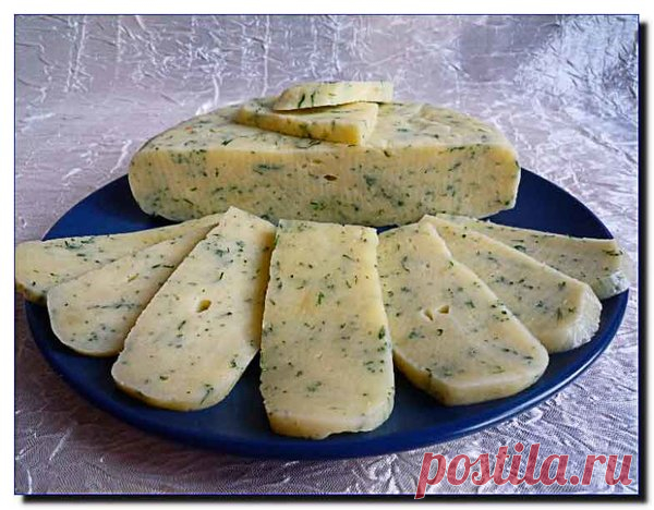 Очень вкусный домашний сыр. Вы должны его попробовать! | Вахрушев А.В. | Яндекс Дзен