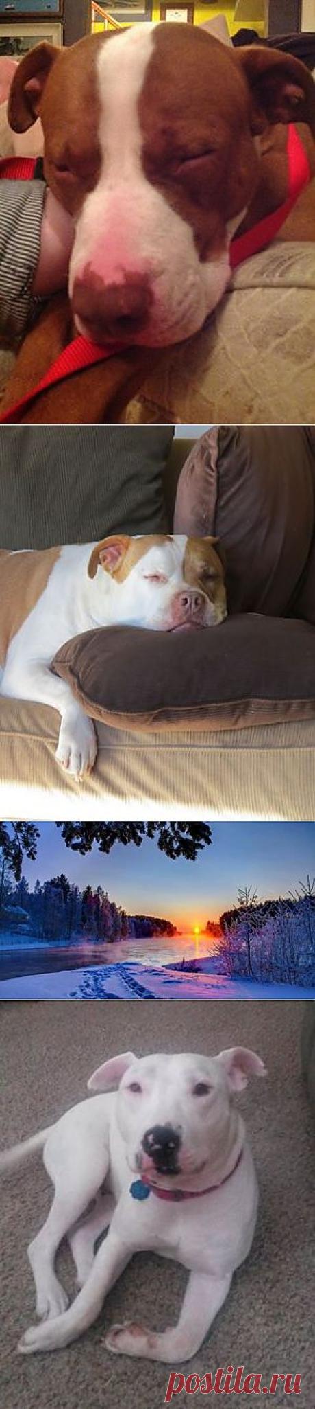 (102) Facebook