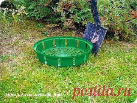 Советы садоводам и огородникам | ВКонтакте