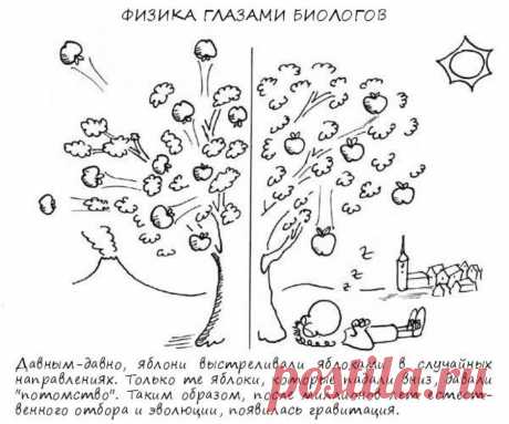 ученые шутят