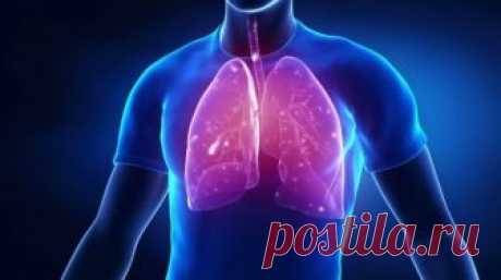 - Избавься от кашля, бронхита, выведи всю слизь из легких и бронхов... -