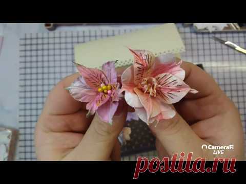 Альстромерия для скрапбукинга + конверт на свадьбу