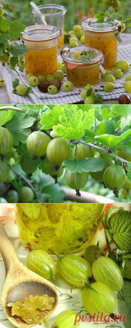 Варенье из крыжовника: царское угощенье