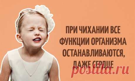 100 коротких и интересных фактов о человеке