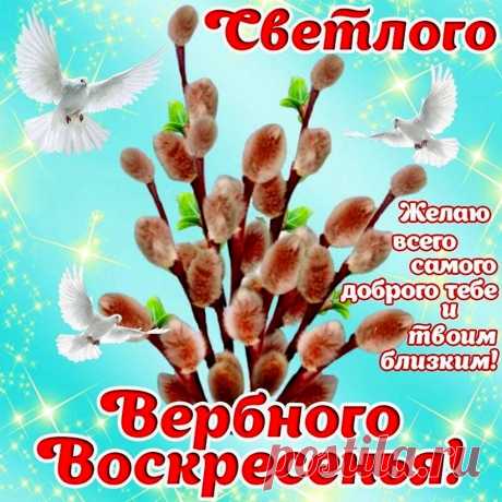 Ветка вербы на окошке
В Воскресенье расцветет,
Счастья сядет на ладошку
И из дома не уйдет!