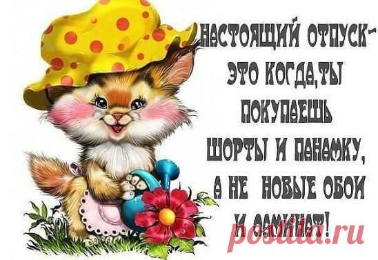 (40) Одноклассники