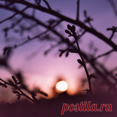 Красота.