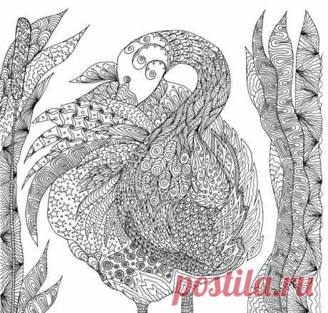 (9) Gallery.ru / Фото #32 - Книги раскраски-антистресс - Lunga68