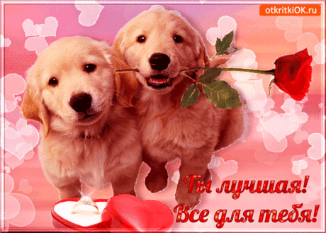 Всё для тебя, моя подруга