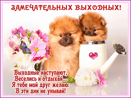 (2) Мой Мир@Mail.Ru