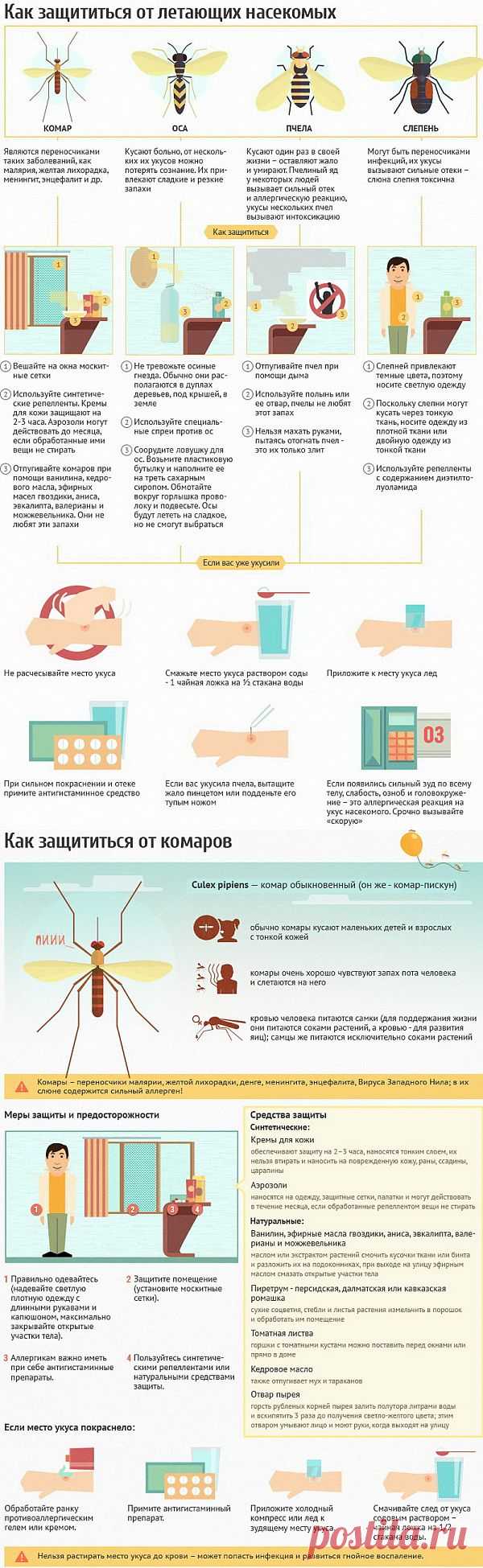 Летающие монстры.