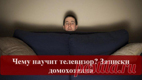 ЧЕМУ НАУЧИТ ТЕЛЕВИЗОР? ЗАПИСКИ ДОМОХОЗЯИНА...