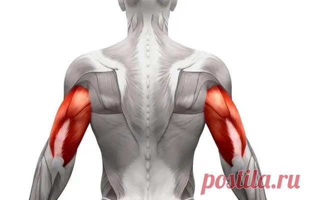 Вы почувствуете, как мышцы рук работают: 3 упражнения, которые мне помогают подтянуть руки и зону декольте - ПолонСил.ру - социальная сеть здоровья - Медиаплатформа МирТесен