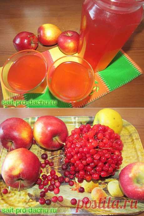Компот из калины и яблок