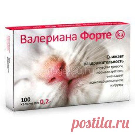 Бюджетные находки класса люкс - Аромания - Страница 304