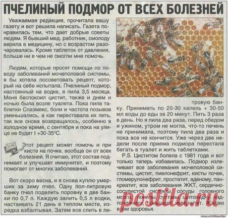 Чудо-подмор!