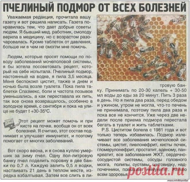 Чудо-подмор!