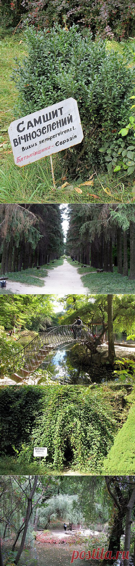 [Украина] Краснокутский дендропарк | Путешествуем вместе