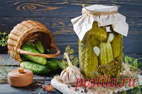 Рецепты приготовления малосольных огурцов