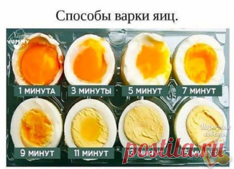 🥚 Способы варки яиц! 🥚
#лайфхакидлякухни #вкусныерецепты #лайфхак #полезныесоветы #плетенаясумка #идеи #готовимвкусно #готовка #кулинария #видеоеды #вкусныерецептывидео #вкусныйрецепт #готовимвместе #готовимдома #готовимсами #готовьпросто #едадлядетей #здороваяеда #инстакулинария #инстакухня #красиваяеда #кулинариядома #непп #неппеда #приготовление #простовкусно #рецептыдлядетей #фотоеды #hendmade