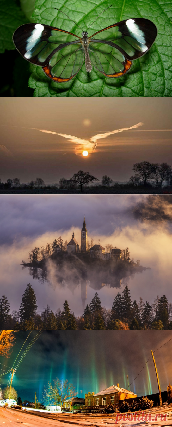 20 фото, над эффектностью которых потрудилась сама природа