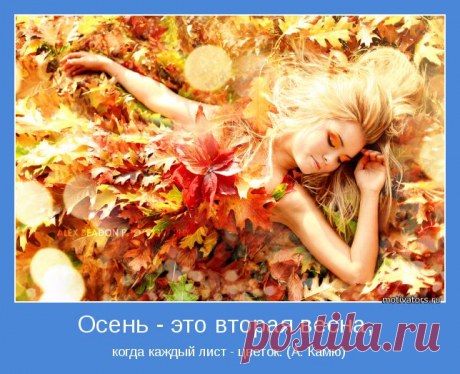 Мотиваторы и Демотиваторы