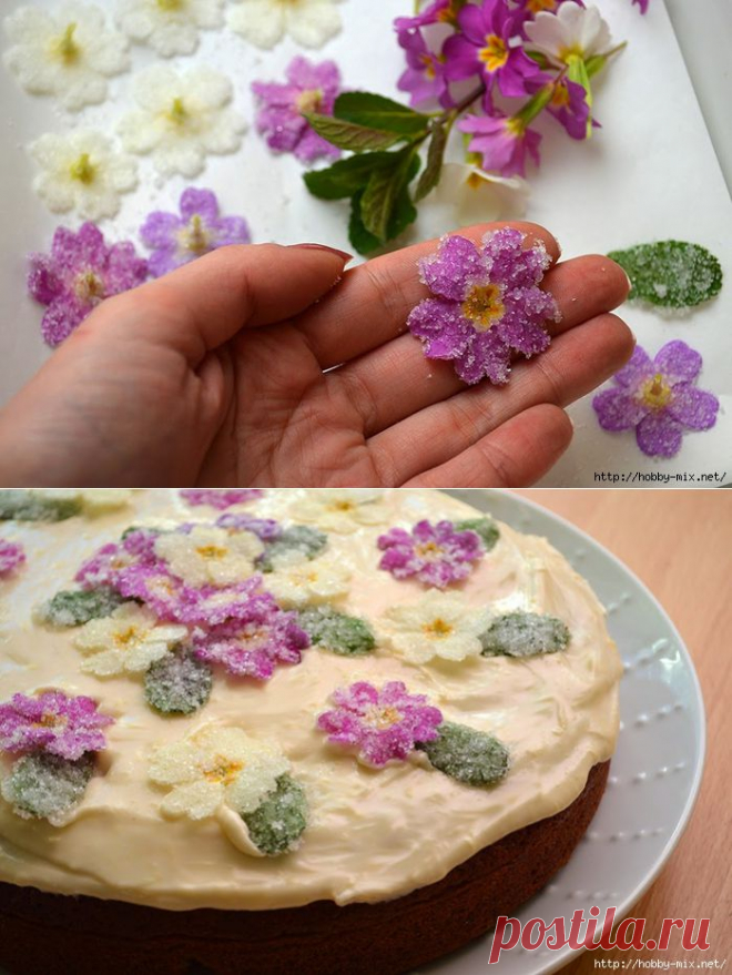 Без заголовка
