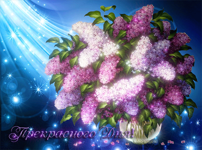 разное