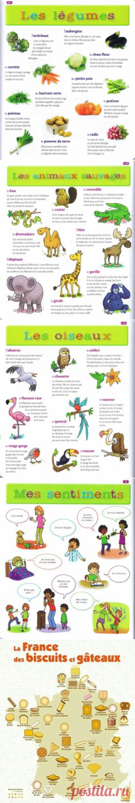 Source: Mon premier dictionnaire de Français Larousse | Learn French