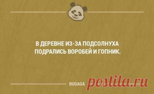 Смешные мысли и короткие анекдоты. (20 шт) Четкие высказывания и фразы со смыслом.
- Тебе не мешает, то что ты левша? - Нет. У каждого человека свои особенности. Вот ты, например, какой рукой размешиваешь чай? - Правой! - Вот видишь, а нормаль…