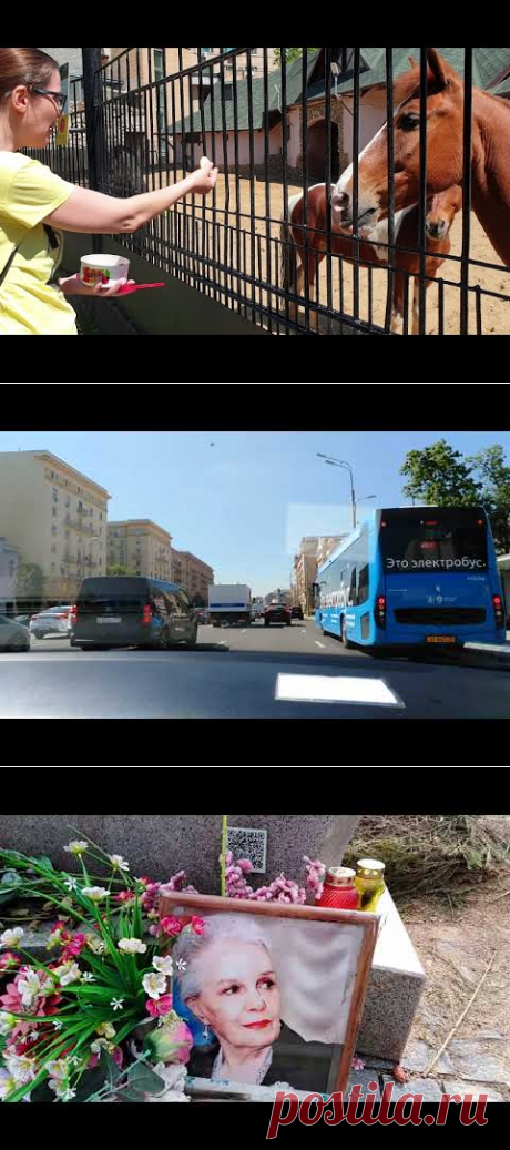 (15) С семьей в московском зоопарке.. - YouTube