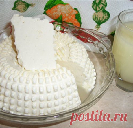 Рецепты домашнего сыра