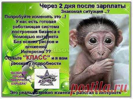 Любое достижение начинается с решения -ПОПРОБОВАТЬ!!! Надежная, стабильная и перспективная компания предлагает начать свой &quot;Домашний Бизнес&quot; в сети интернет. Выплаты производятся на банковскую карточку. У вас два пути: ждать, сомневаться и бездействовать или начать работать, чтобы стать финансово независимым человеком! Обеспечить себя и своих детей! Выбор только за вами! Не стесняемся, ставим +. Поставьте КЛАСС, возможно кому-то из ваших друзей нужна данная информация!.