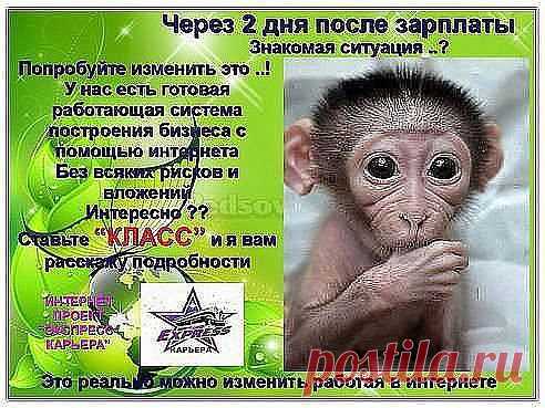 Любое достижение начинается с решения -ПОПРОБОВАТЬ!!! Надежная, стабильная и перспективная компания предлагает начать свой "Домашний Бизнес" в сети интернет. Выплаты производятся на банковскую карточку. У вас два пути: ждать, сомневаться и бездействовать или начать работать, чтобы стать финансово независимым человеком! Обеспечить себя и своих детей! Выбор только за вами! Не стесняемся, ставим +. Поставьте КЛАСС, возможно кому-то из ваших друзей нужна данная информация!.
