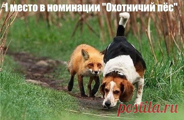 Без комментария