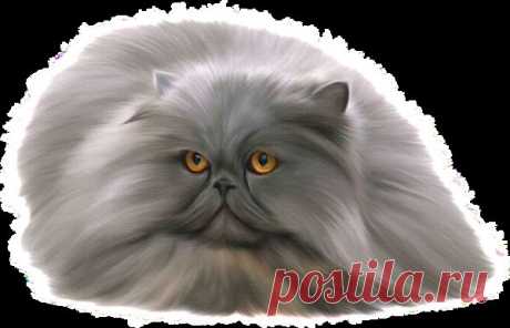 ЗАБАВНОЕ И ИНТЕРЕСНОЕ | Записи в рубрике ЗАБАВНОЕ И ИНТЕРЕСНОЕ | Дневник lipa_fv