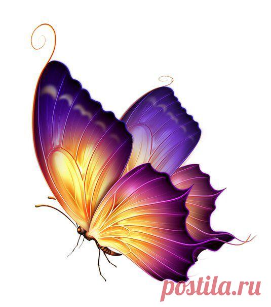 Картинки для творчества | 1 772 фотографии | ВКонтакте