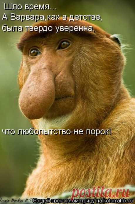 ВЕСЕЛАЯ &quot;ЗВЕРоКОТоМАТРИЦА&quot;