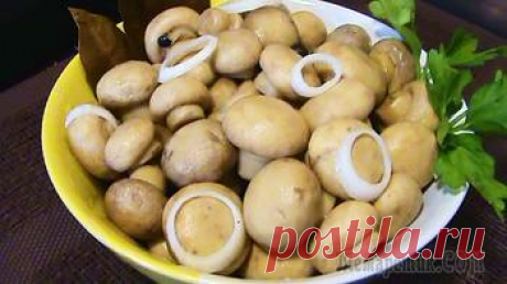 Маринованные шампиньоны