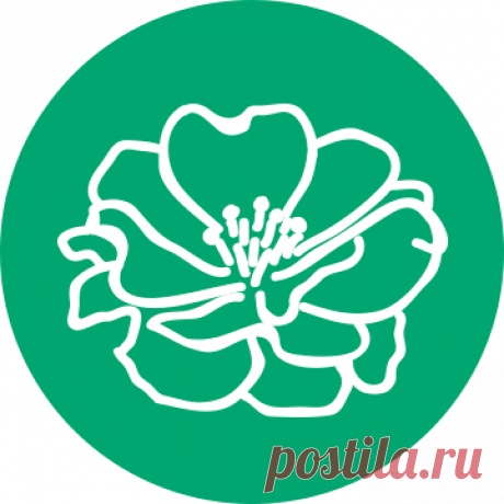 ЦВЕТОЧНЫЙ гороскоп по дате рождения с характеристиками знаков