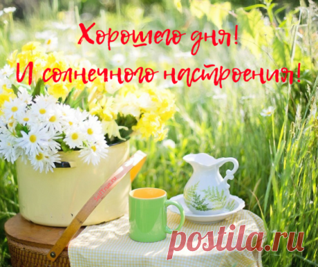 Открытки для хорошего настроения | Женский Мир в Открытках | Яндекс Дзен