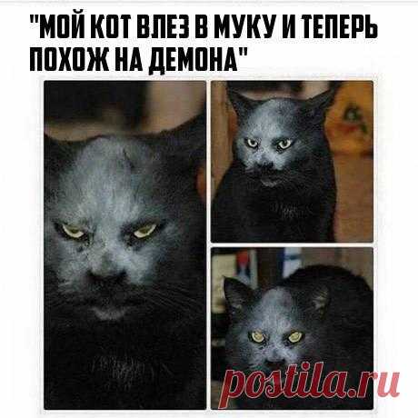 Анюта Гардеева