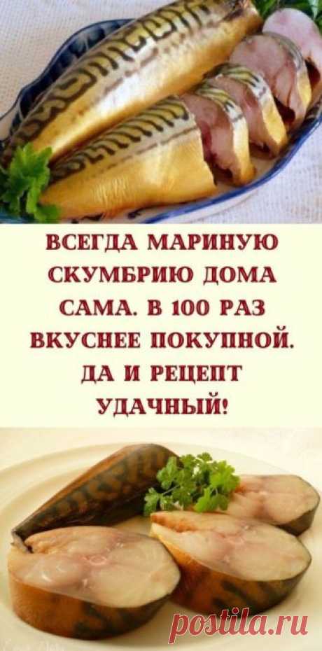 Всегда мариную скумбрию дома сама. В 100 раз вкуснее покупной. Да и рецепт удачный! - be1issimo.ru
