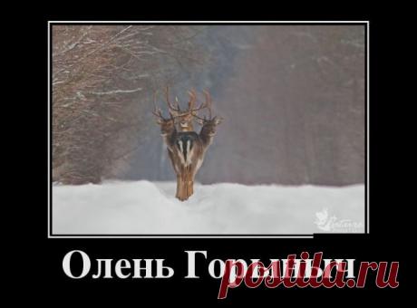 Такие вот демотиваторы...