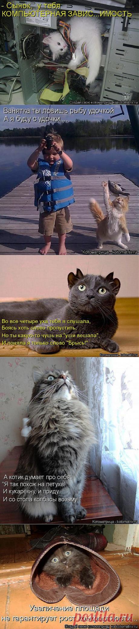 Котоматрица свежак. Плюс анекдот.