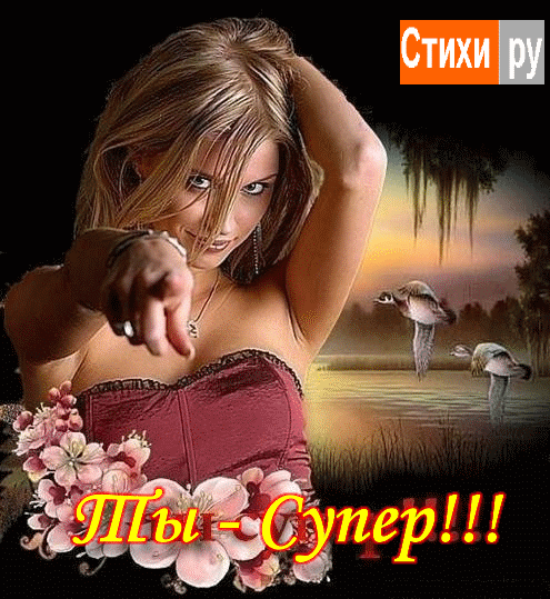 10036.gif (495×539)